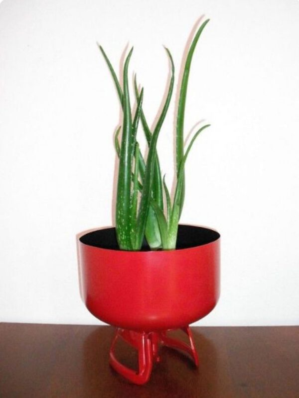 Gasfles voor decoratie - Afbeelding 3