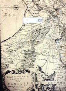 Brummel familie stamboom boek (item 231)